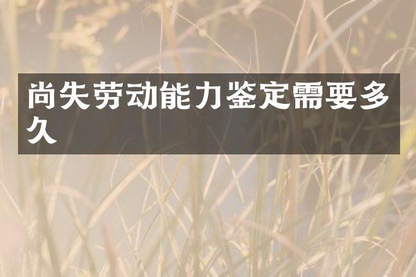 尚失劳动能力鉴定需要多久