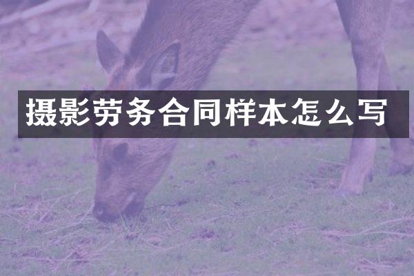 摄影劳务合同样本怎么写