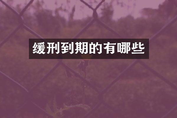 缓刑到期的有哪些