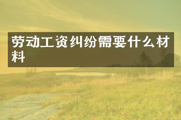 劳动工资纠纷需要什么材料