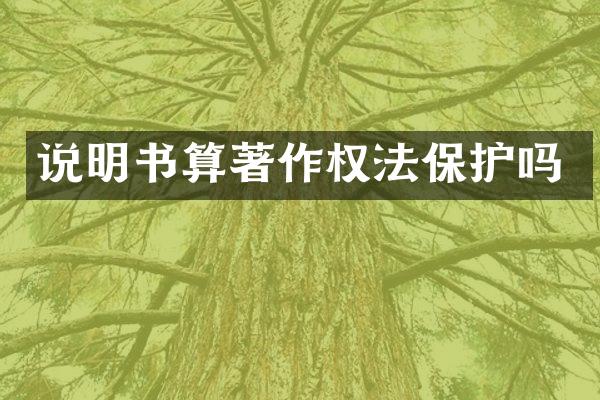 说明书算著作权法保护吗