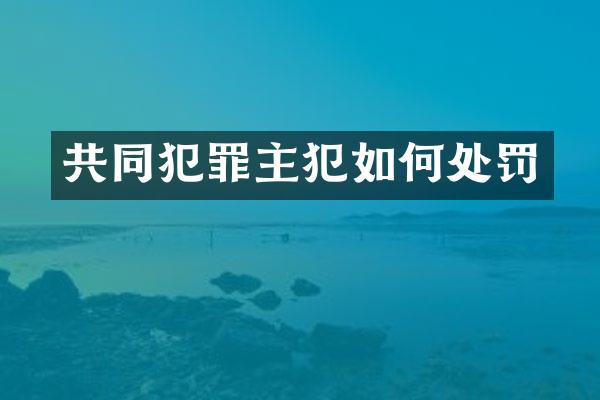 共同犯罪如何处罚