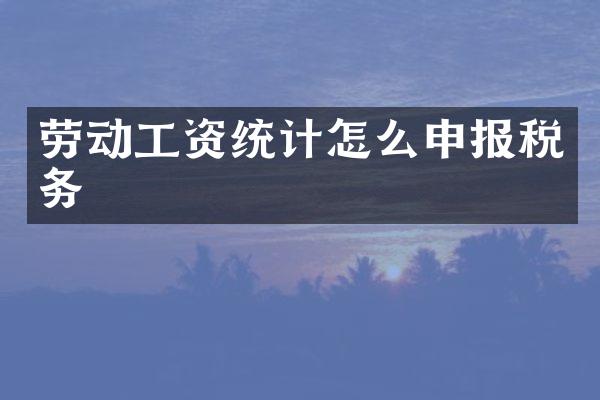 劳动工资统计怎么申报税务