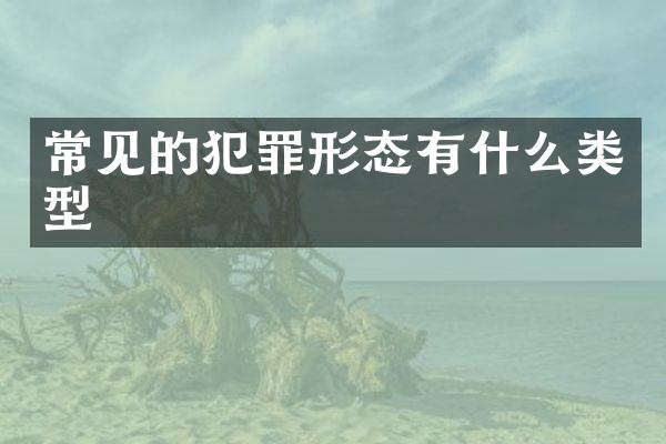 常见的犯罪形态有什么类型