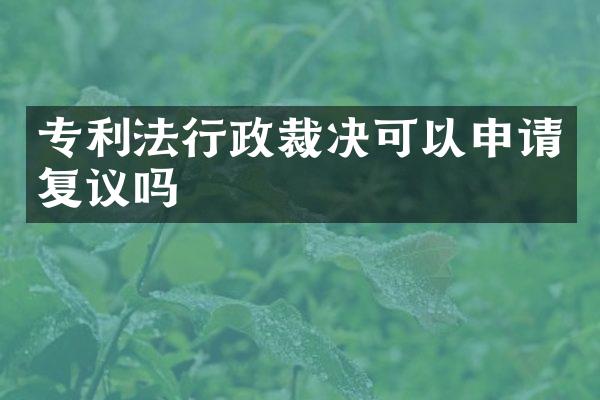 专利法行政裁决可以申请复议吗