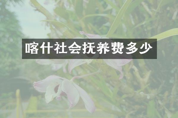 喀什社会抚养费多少