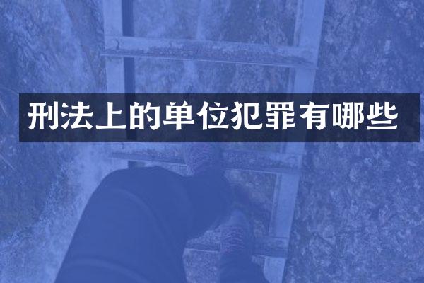 刑法上的单位犯罪有哪些