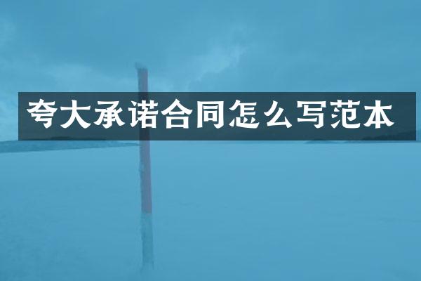 夸大承诺合同怎么写范本