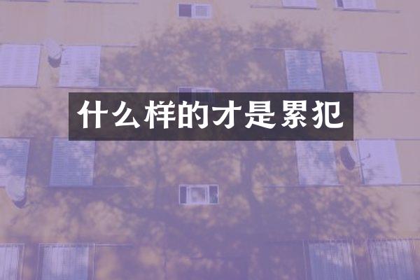 什么样的才是