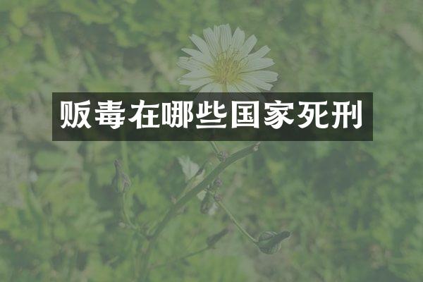 在哪些国家死刑