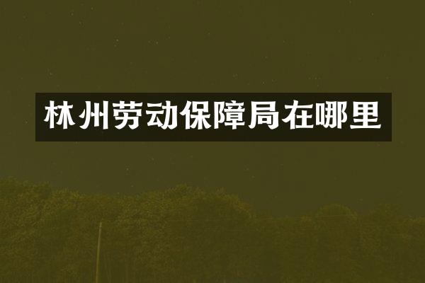 林州劳动保障局在哪里