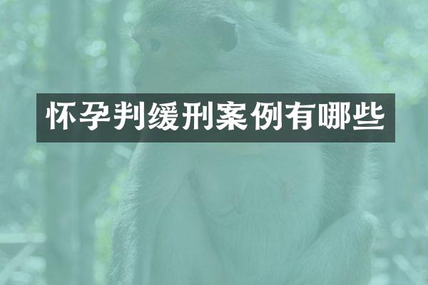 怀孕判缓刑案例有哪些