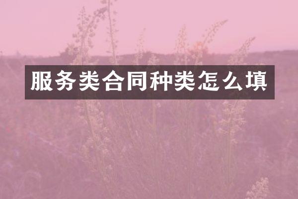 服务类合同种类怎么填