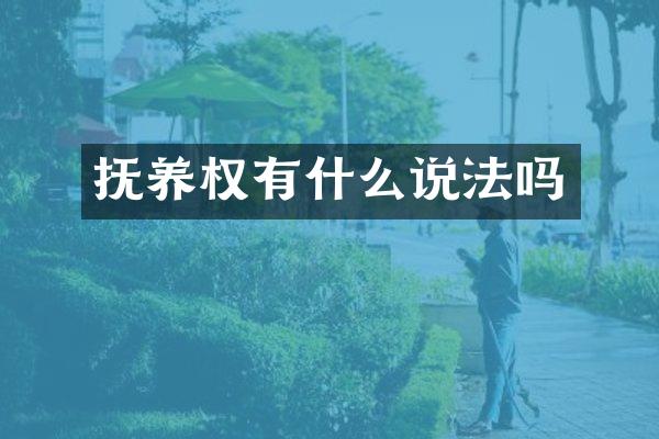 抚养权有什么说法吗