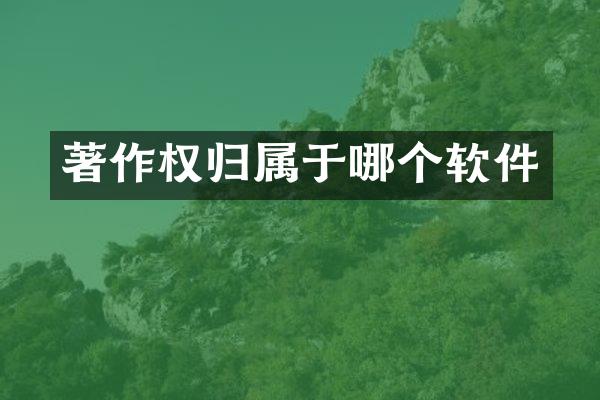 著作权归属于哪个软件
