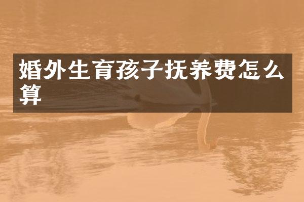 婚外生育孩子抚养费怎么算