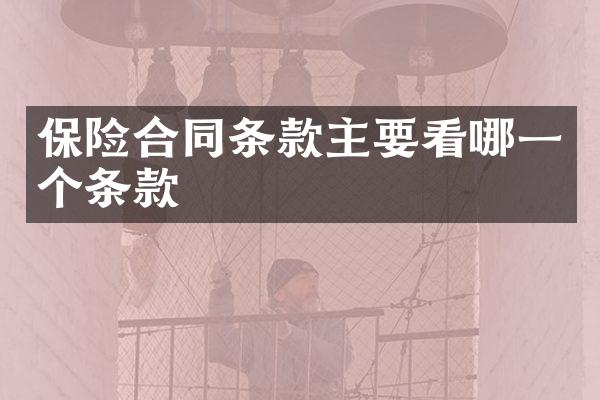 保险合同条款主要看哪一个条款