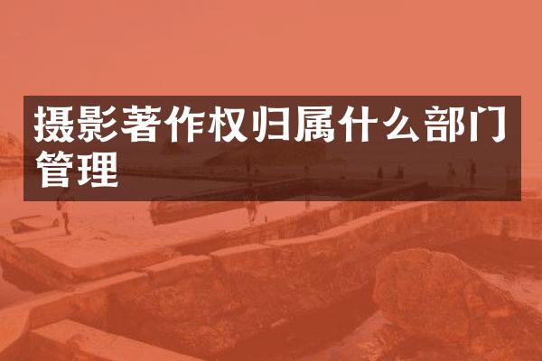 摄影著作权归部门管理