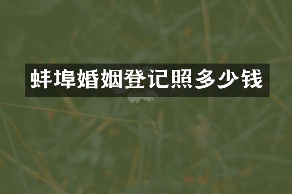 蚌埠婚姻登记照多少钱