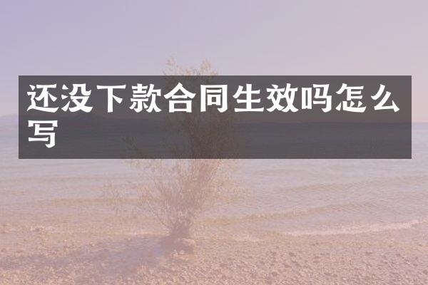 还没下款合同生效吗怎么写