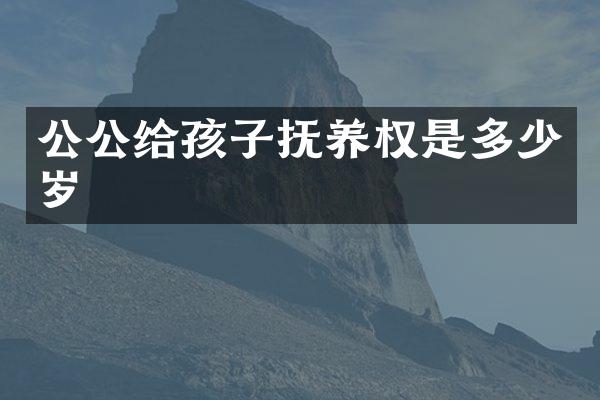 公公给孩子抚养权是