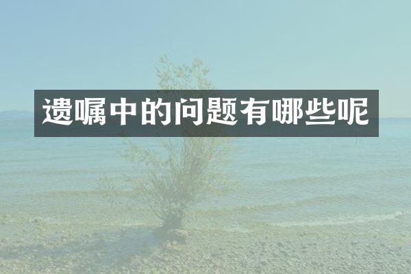 遗嘱中的问题有哪些呢