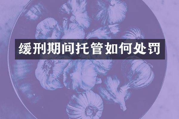缓刑期间托管如何处罚