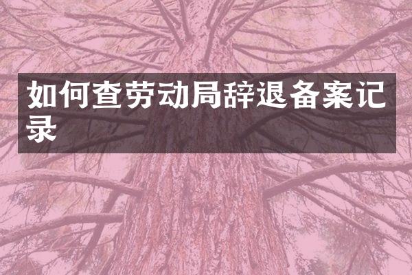 如何查劳动局辞退备案记录