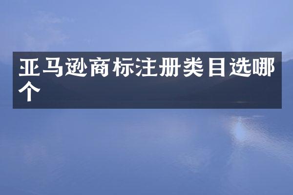 亚马逊商标注册类目选哪个