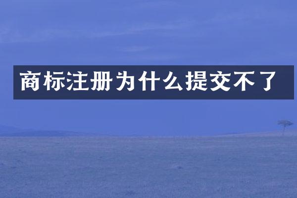 商标注册为什么提交不了
