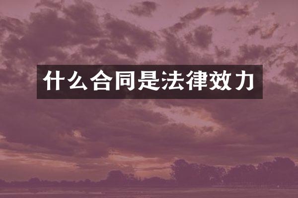 什么合同是法律效力