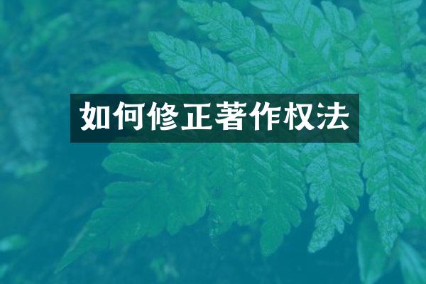 如何修正著作权法
