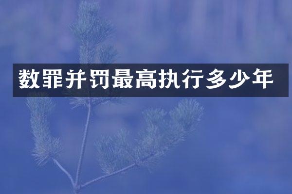 数罪并罚最高执行多少年