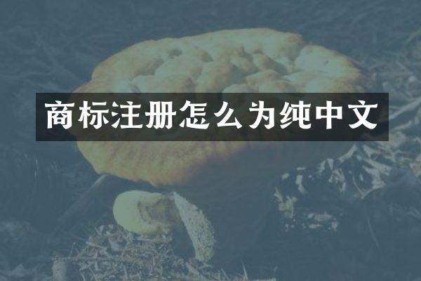 商标注册怎么为纯中文