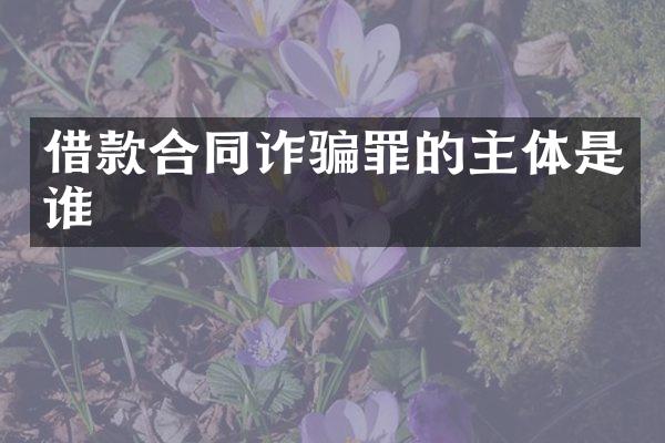 借款合同诈骗罪的主体是谁