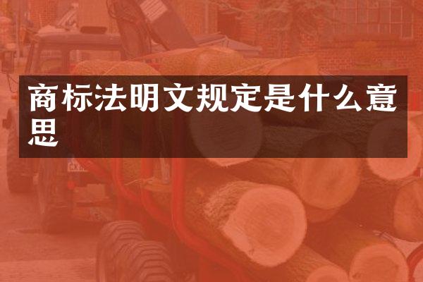 商标法明文规定是什么意思