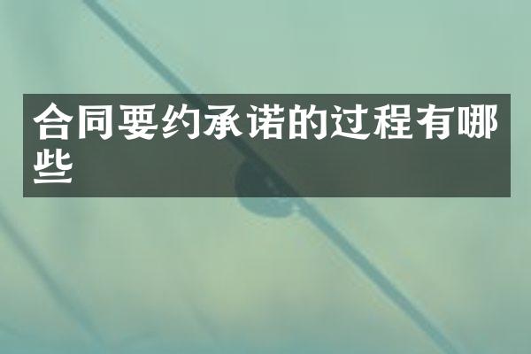 合同要约承诺的过程有哪些