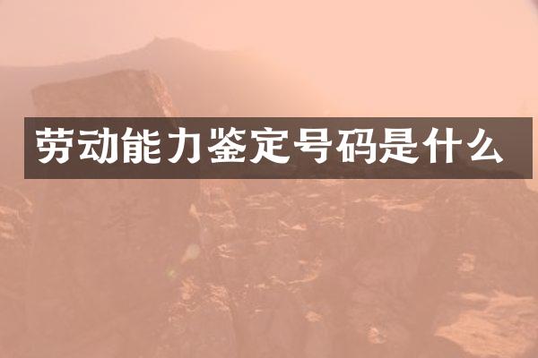 劳动能力鉴定号码是什么