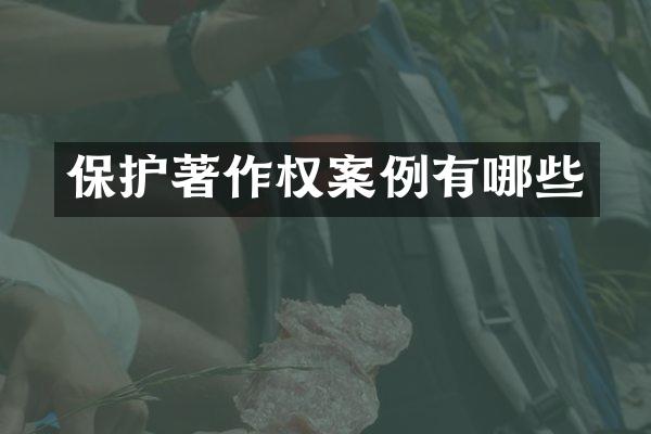 保护著作权案例有哪些