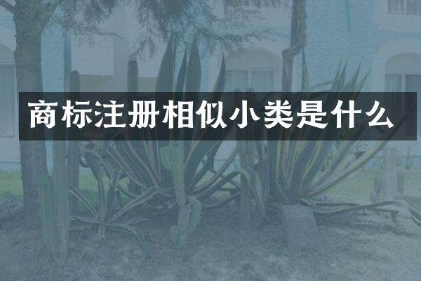 商标注册相似小类是什么