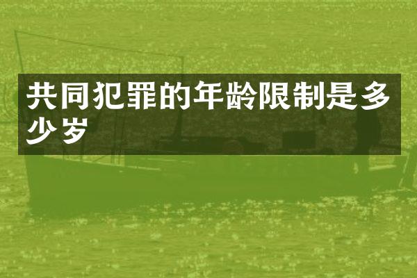 共同犯罪的年龄限制是