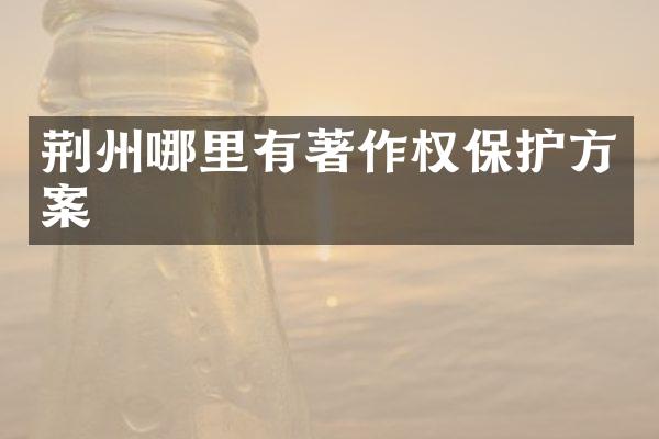 荆州哪里有著作权保护方案