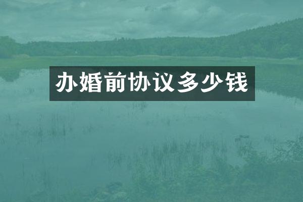 办婚前协议多少钱