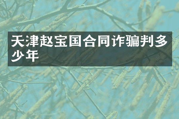 天津赵宝国合同诈骗判多少年