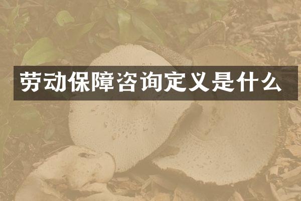 劳动保障咨询定义是什么
