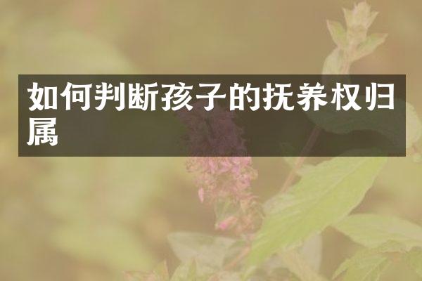 如何判断孩子的抚养权归属
