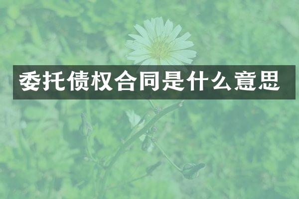 委托债权合同是什么意思