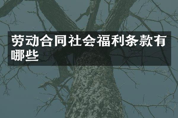 劳动合同社会福利条款有哪些