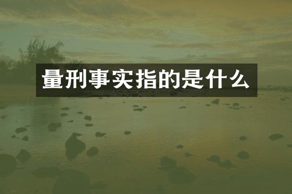 量刑事实指的是什么