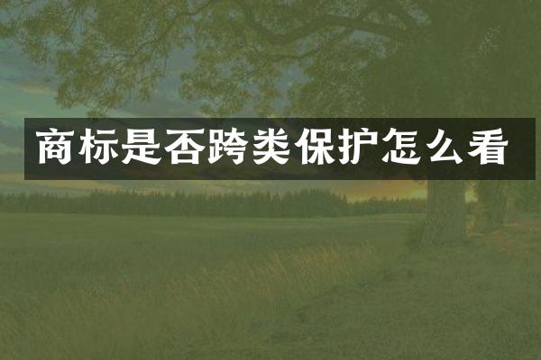 商标是否跨类保护怎么看
